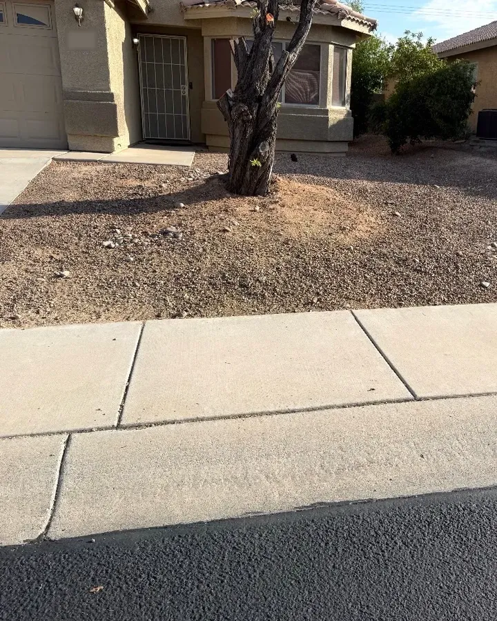 A front yard with raked gravel and a clear walkway after a Clear Sweep visit.